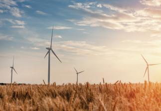 Wind turbines in sunset field
