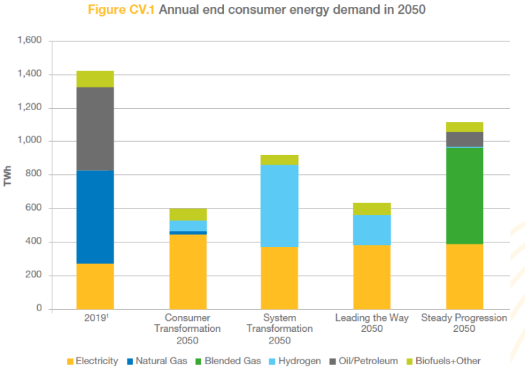 Chart showing consumer energy demand in 2050