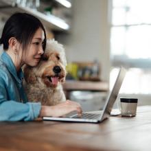 Lady sat at desk with laptop and dog on her lap