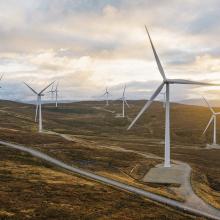 Wind turbines in field with sunset