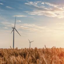 Wind turbines in sunset field