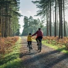Two people crying on a country road with tall trees either side