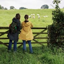 Two people looking over gate into field with sheep in