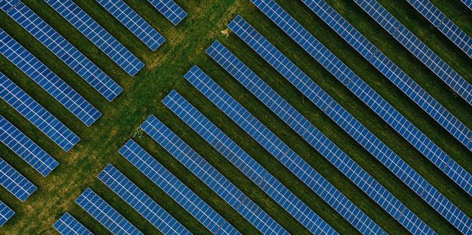 Rows of solar panels