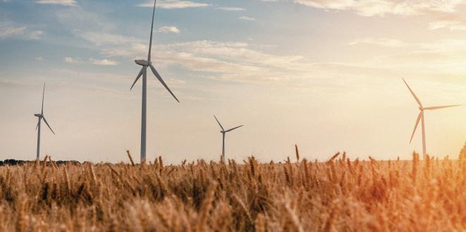 Wind turbines in sunset field