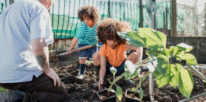 Grandparent and grandchildren planting vegetables