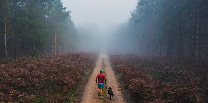Man running through woods with his dog