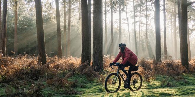 Someone cycling in wood with sun beaming through trees