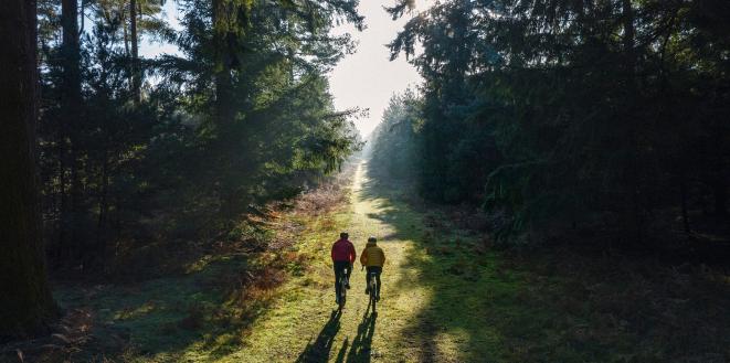 cycling through woods towards sunlight