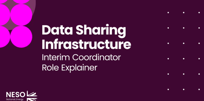 Interim Coordinator Role Explainer