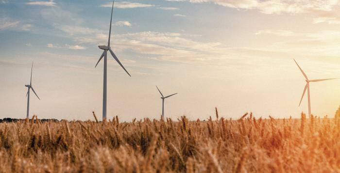 Wind turbines in sunset field