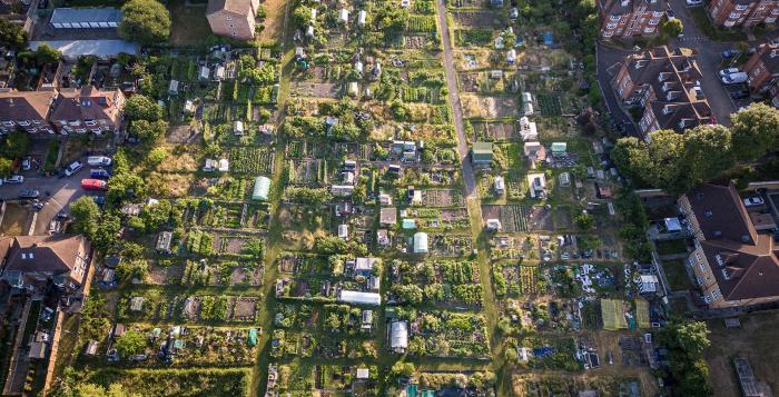 Allotments in an ariel view-GettyImages-1405420912