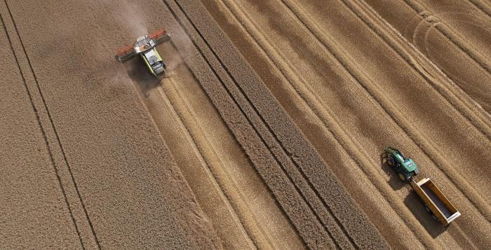 Farmers working on their fields