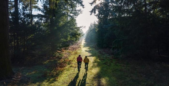 cycling through woods towards sunlight