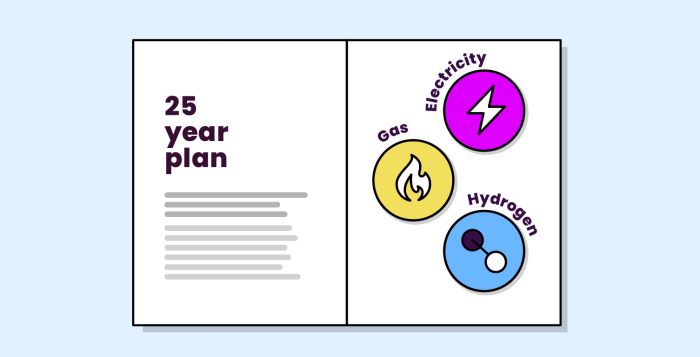 Centralised_Strategic_Network_Plan_animation_thumbnail